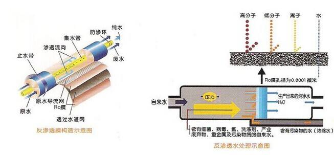 全自动RO嘿嘿视频在线